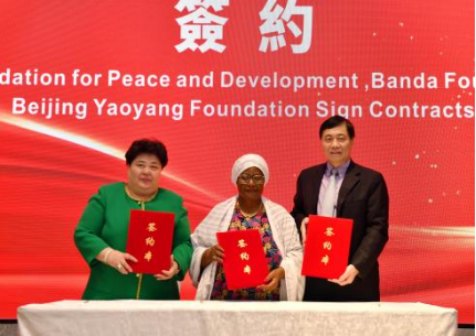 Third Asia-Africa Women's Development and Cooperation Forum Seminar