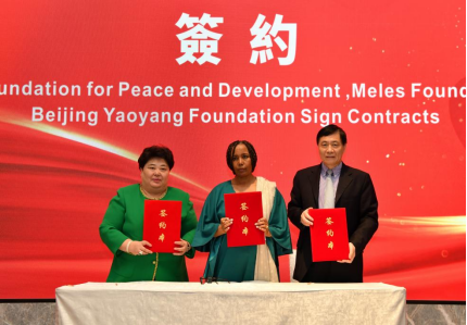 Third Asia-Africa Women's Development and Cooperation Forum Seminar