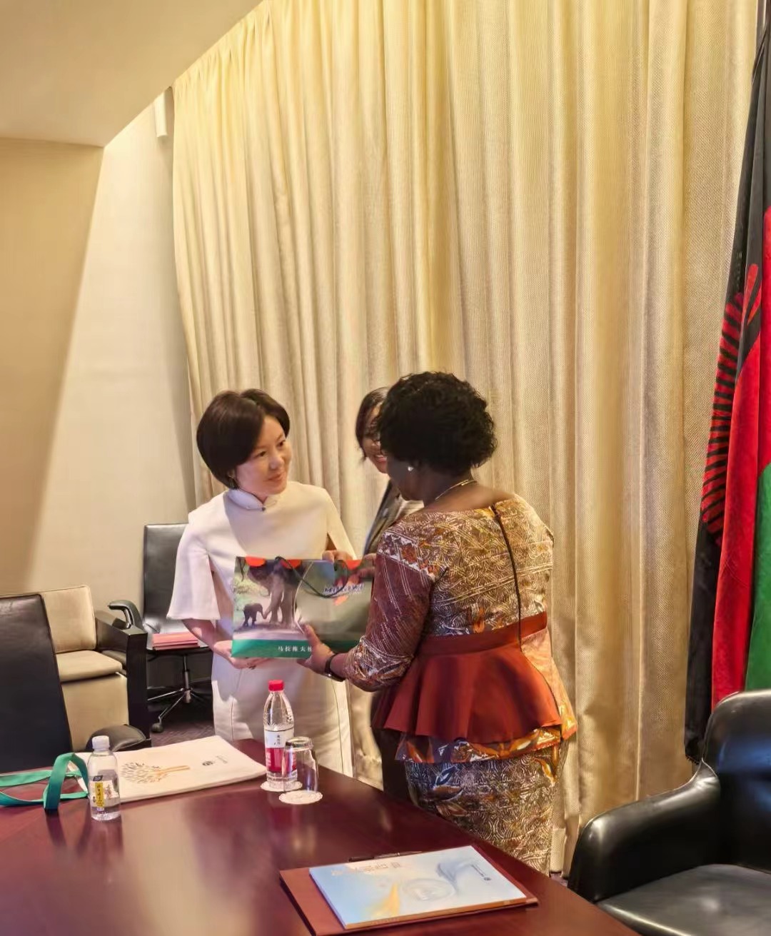 Chairman Zhao Meiling calls on Malawi President's wife