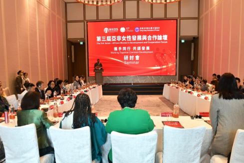 Third Asia-Africa Women's Development and Cooperation Forum Seminar