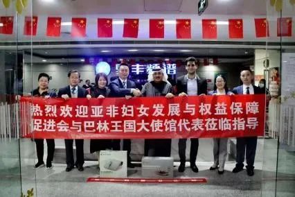 6382908532289436618500100