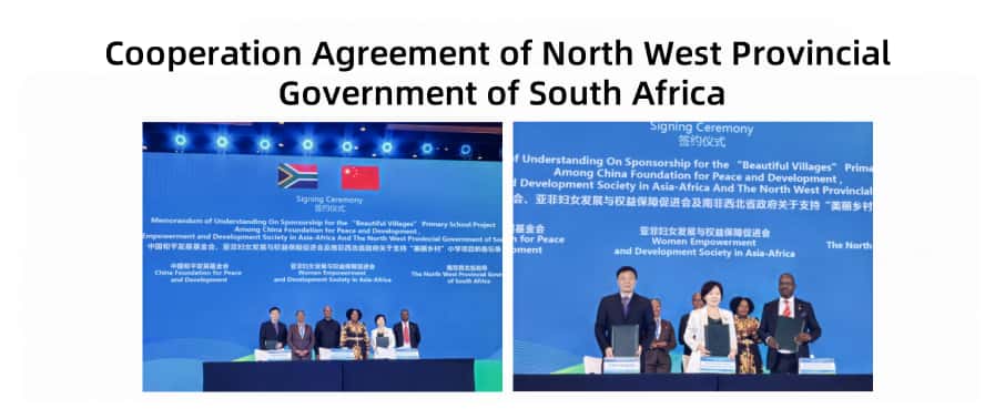 南非.jpg Organization